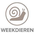 Allergeen icoon